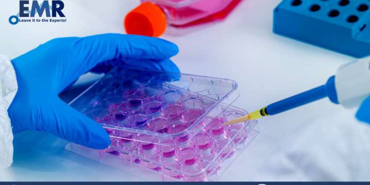 Global In Vitro Toxicology Testing Market Size, Share, Price, Growth, Report and Forecast 2023-2028