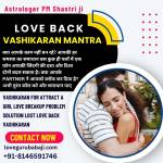 Astrologer PM Shastri ji Profile Picture