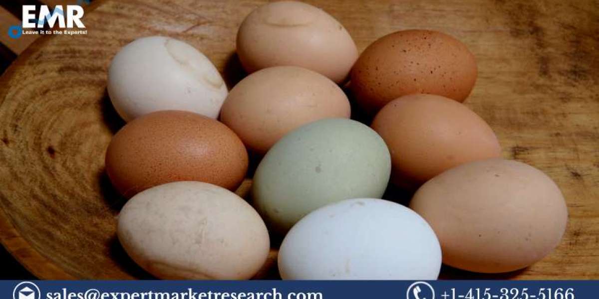 Global Specialty Egg Market Size to Grow at a CAGR of 9.10% in the Forecast Period of 2023-2028