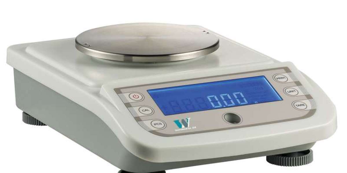 Future Projections: Analyzing the Future of Analytical Balance Prices