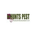 Hunts Pest