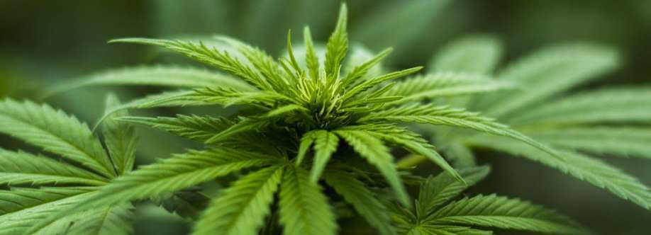 West Coast Cannabis