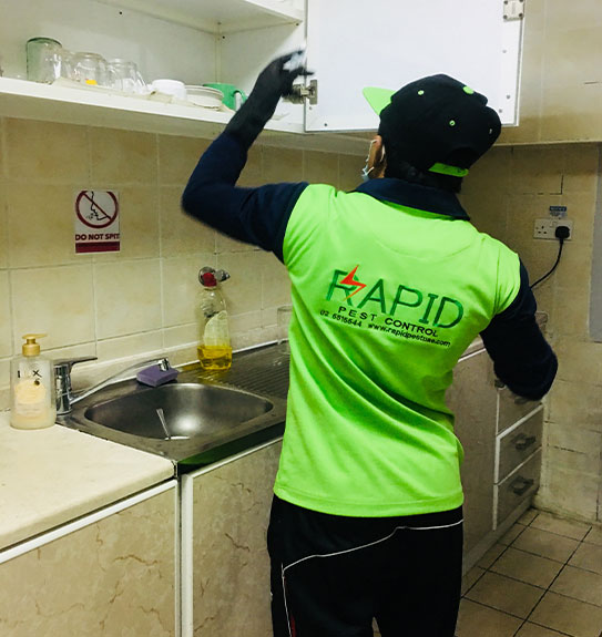 Mosquito Control Companies Abu Dhabi - Rapid Pest