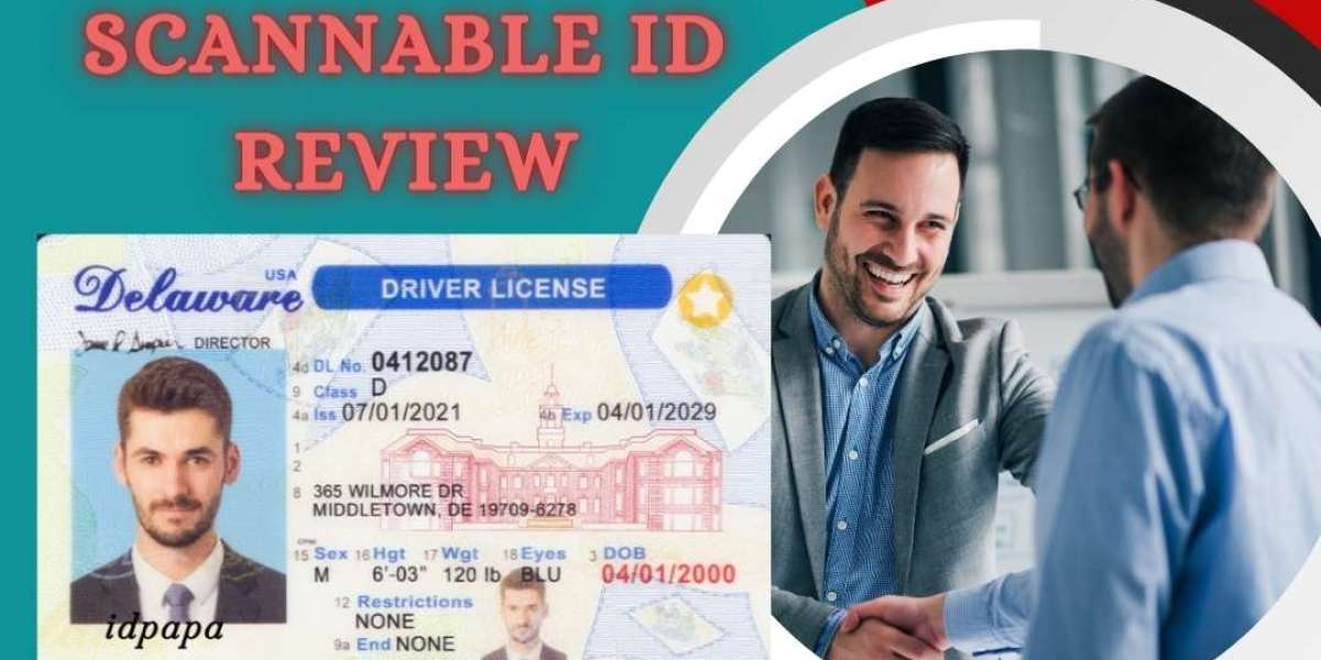 Dive into Our Scannable IDs Review: Secure Your Identity with IDPAPA!