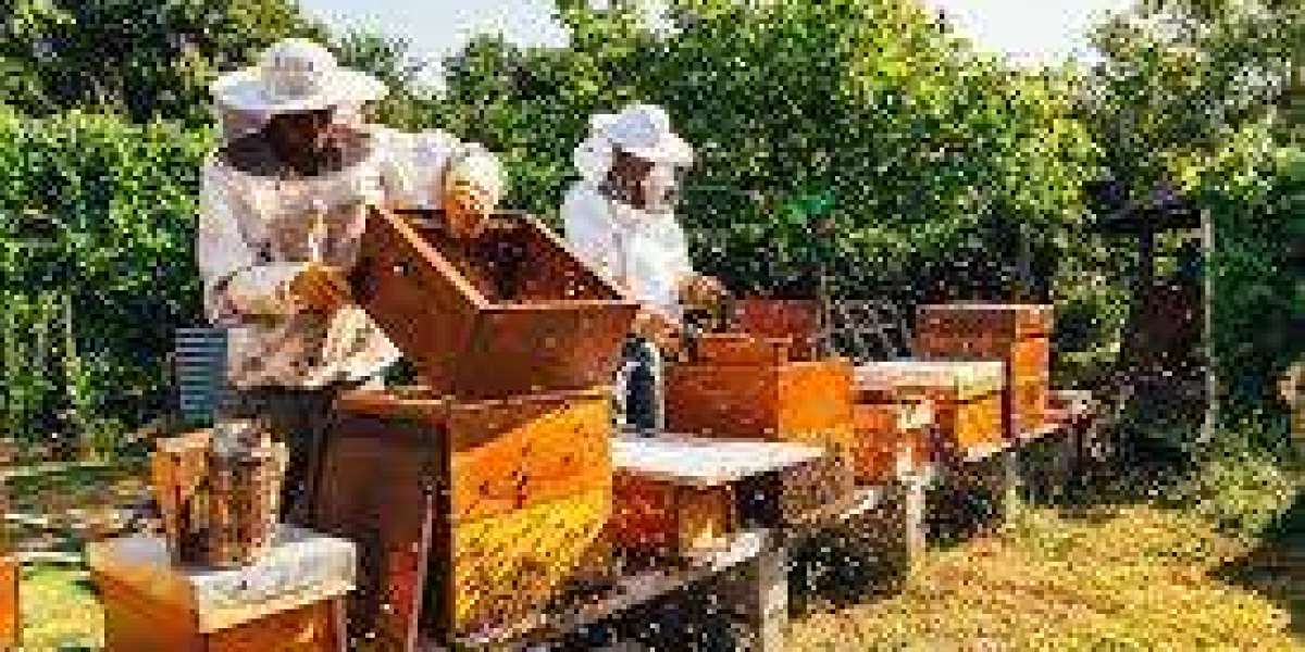 The Buzz on Honey Bees for Sale in Texas: A Sweet Investment in Agriculture