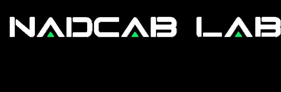 Blockchain Consulting Company
