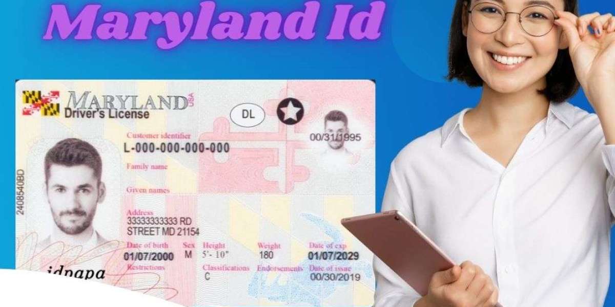 Elevate Your Nightlife: Get the Best Maryland Fake IDs from IDPAPA!