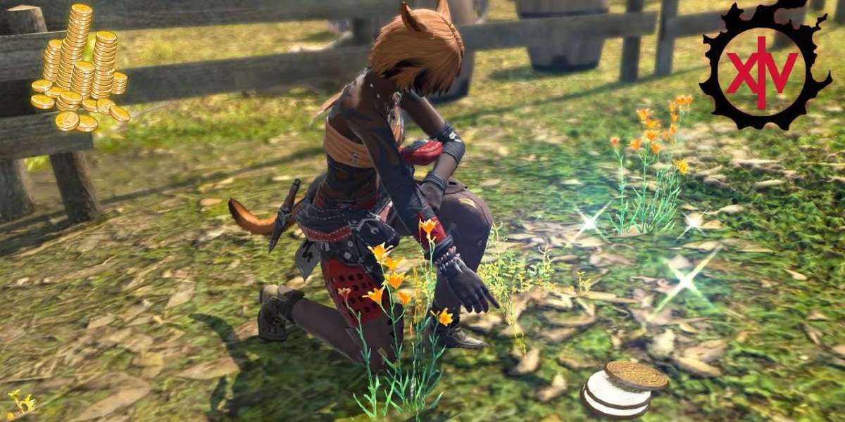 Buy Ffxiv Gil  – Just Make Sure You Select Most Appropriate Platform