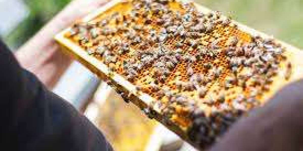 The Significance of Free Shipping for Texas Beekeeping Supplies