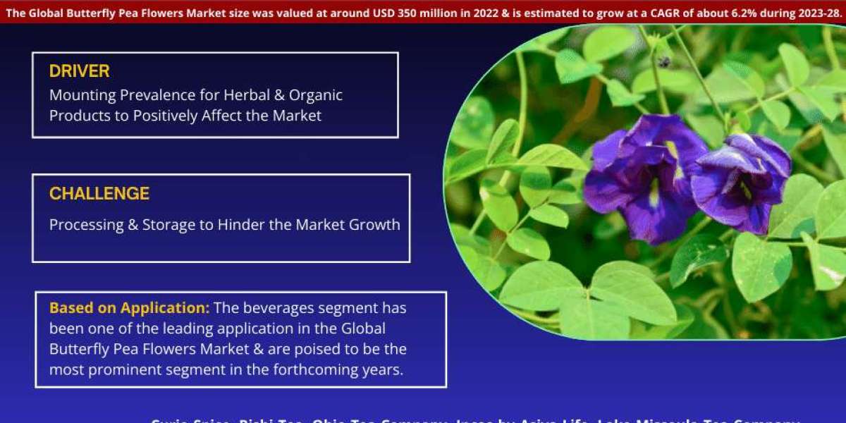 At a Staggering 6.2% CAGR, Butterfly Pea Flowers Market Anticipates Achieving USD 350 million in 2022, Affirms MarkNtel 
