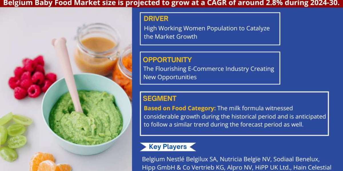 Belgium Baby Food Market: Growth and Development Insight - Size, Share, Growth, and Industry Analysis