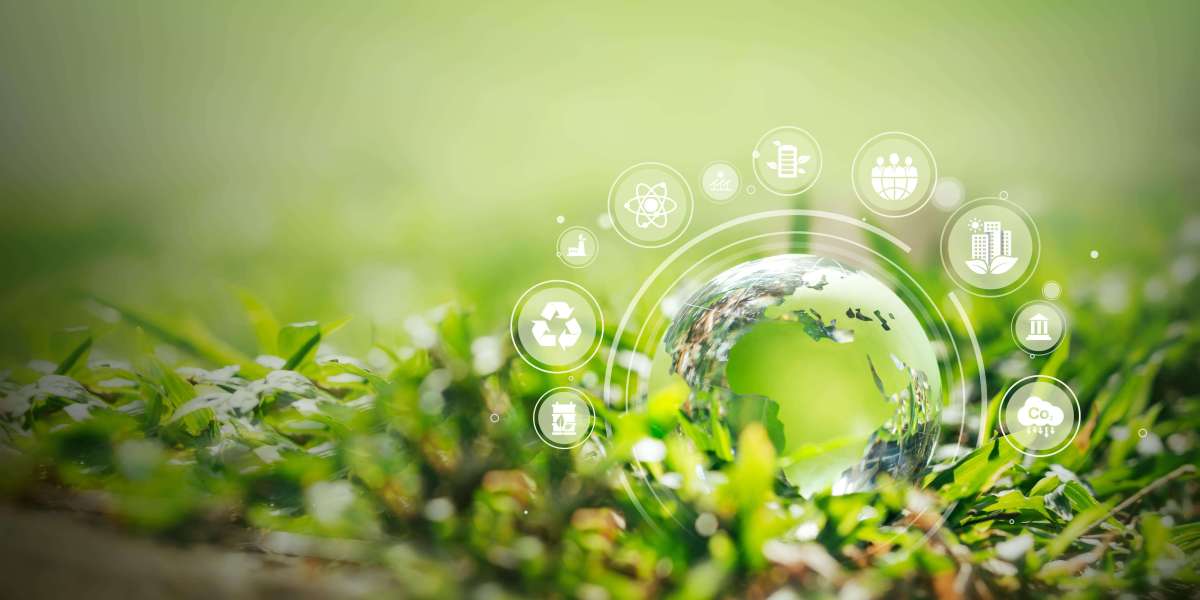 Powering Sustainable Growth: Key Considerations in Sustainability Consulting