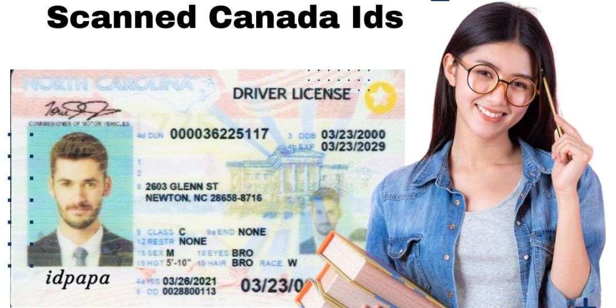 Elevate Your Identity: Discover the Best Fake IDs from IDPAPA