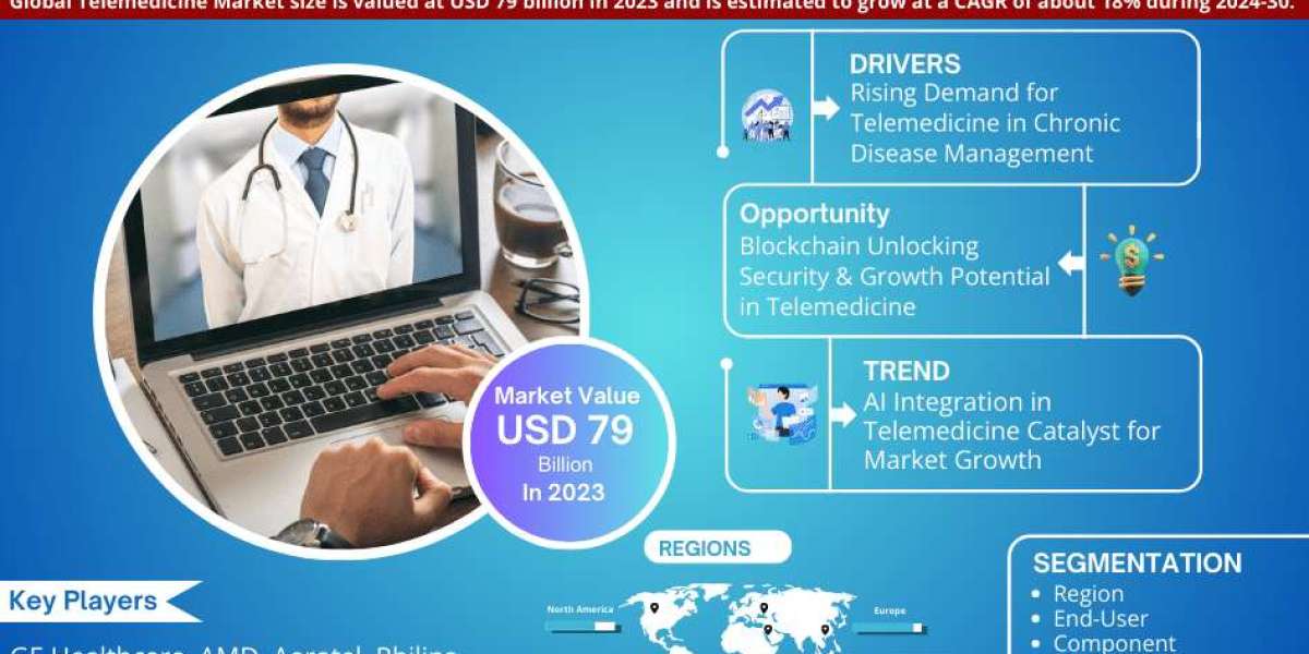 By 2030, the Telemedicine Market will expand by Largest Innovation Featuring Top Key Players