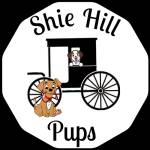 Shie Hill Pups