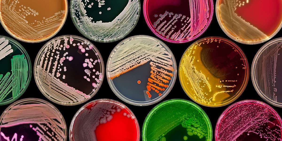The Rise of the Microbiome: Personalized Supplements for a Thriving Inner Ecosystem