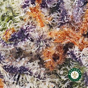 Popcorn Buds Archives - West Coast Cannabis