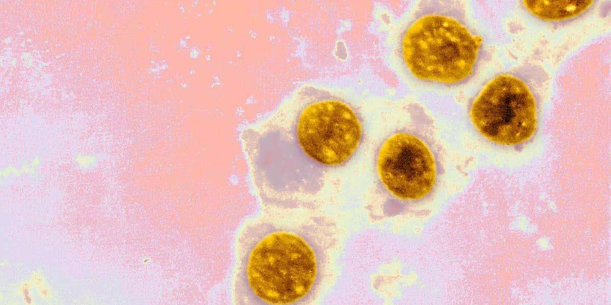 Combating Chlamydia: Why Azithromycin Remains the First-Line Therapy