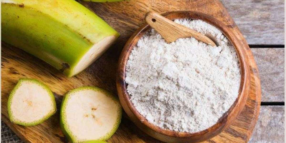 Banana Powder Market Dynamics: Trends, Challenges, and Opportunities