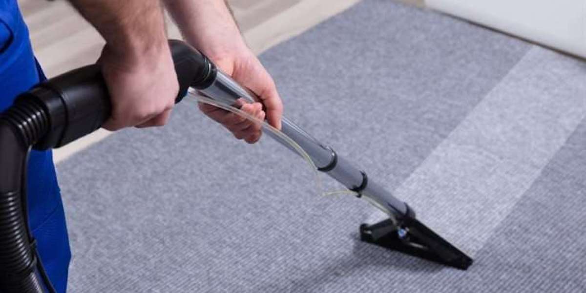 The Comprehensive Guide to Carpet Cleaning in Milton