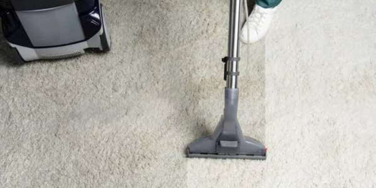 Experience the Power of Carpet Cleaning in Mississauga that Transforms Dirty into Delightful