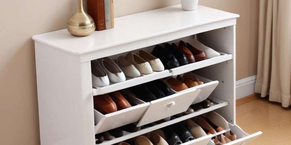 Maximize Space with These 2024 Shoe Cabinet Trends