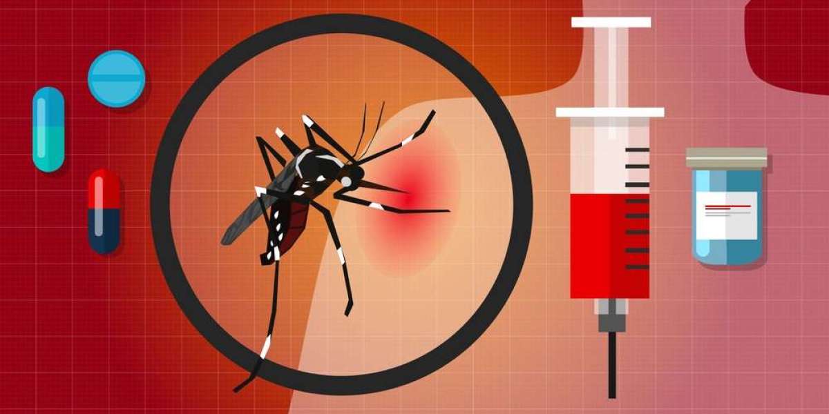 Rising Chikungunya Cases Fuel Chikungunya Fever Market: Early Diagnosis Key for Better Prognosis