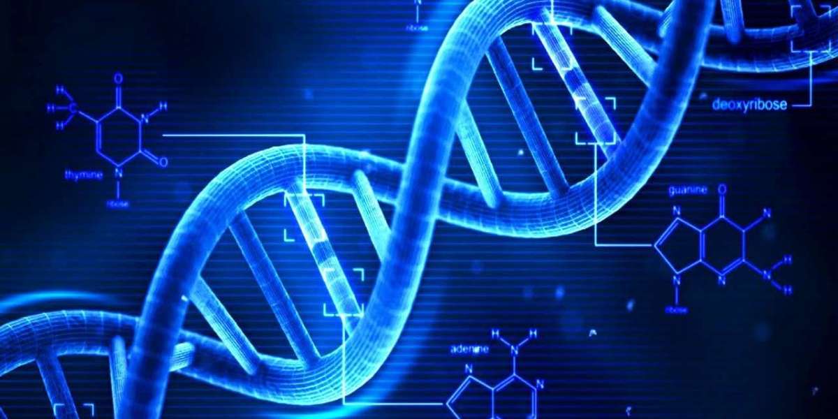 Unlocking Justice: DNA Forensics Market Growth Fueled by Next-Generation Sequencing