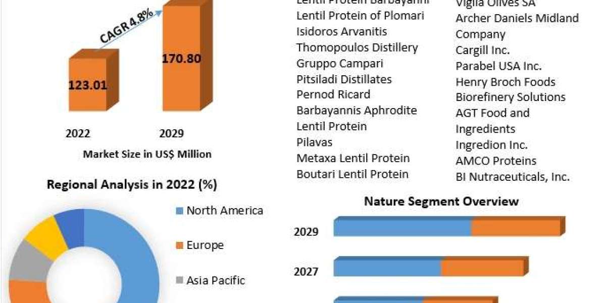Lentil Protein Solutions Drive Market Expansion, Valued at $123.01 Million in 2022