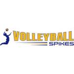 Volleyball Spikes
