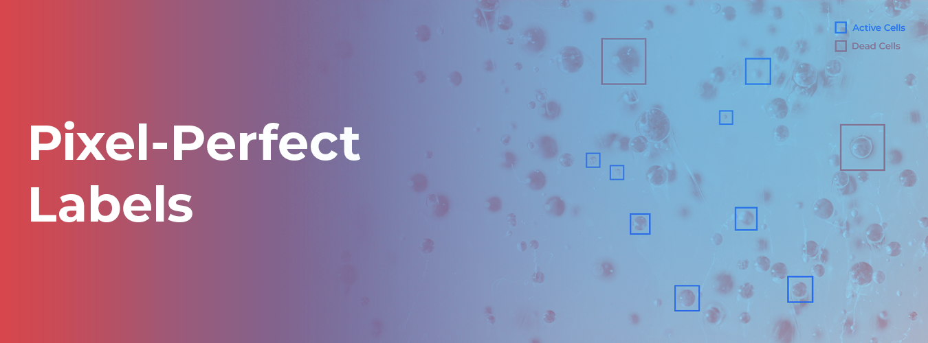 Why Your Labels Can't Be Pixel-Perfect and How to Change That -