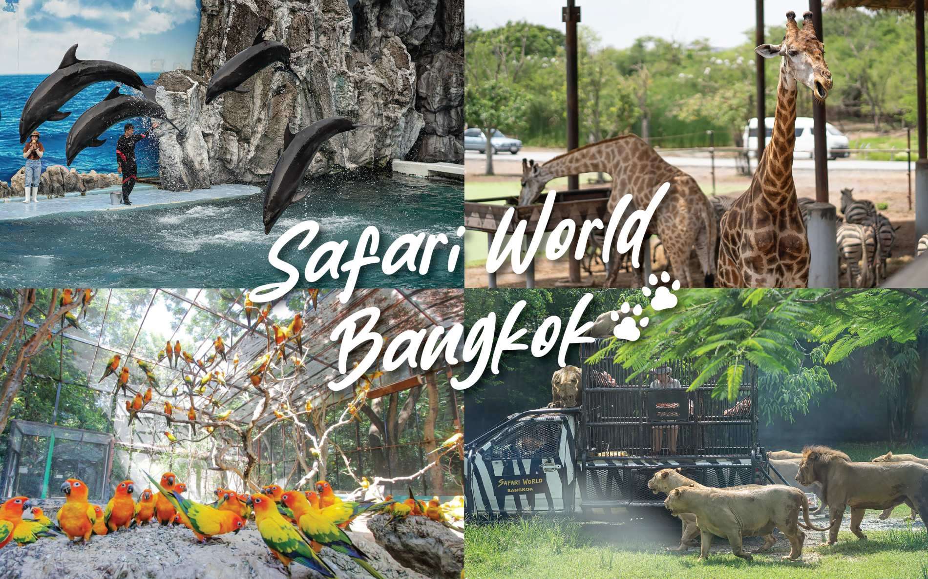Safari World