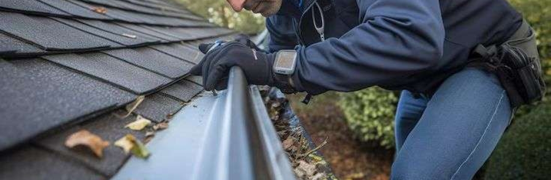 The Gutter Clean Company