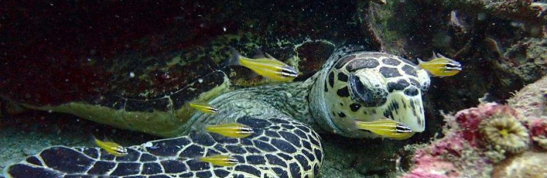 American Divers Phuket