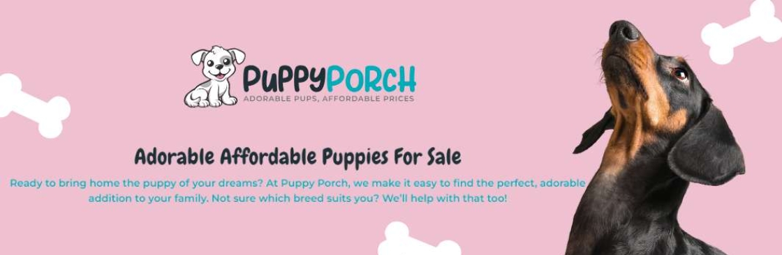 Puppy Porch