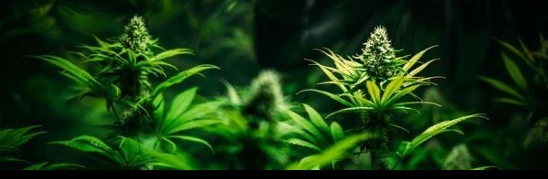 PureRoots Botanicals