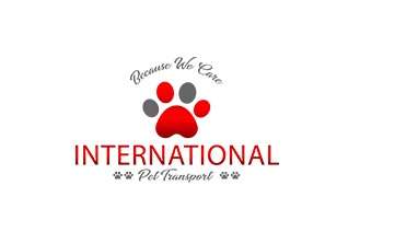 International Pet Transport