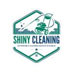 Shiny Cleaning
