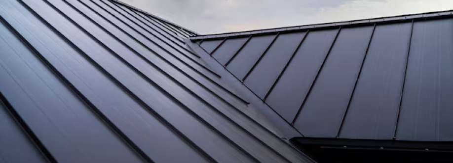Texas Professional Roofing