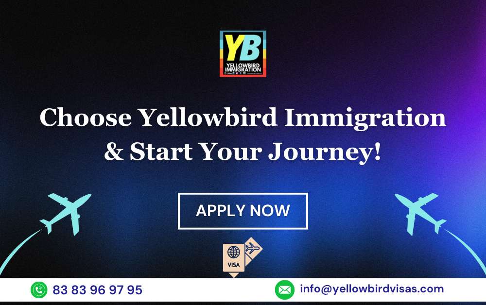 best immigration consultant in delhi