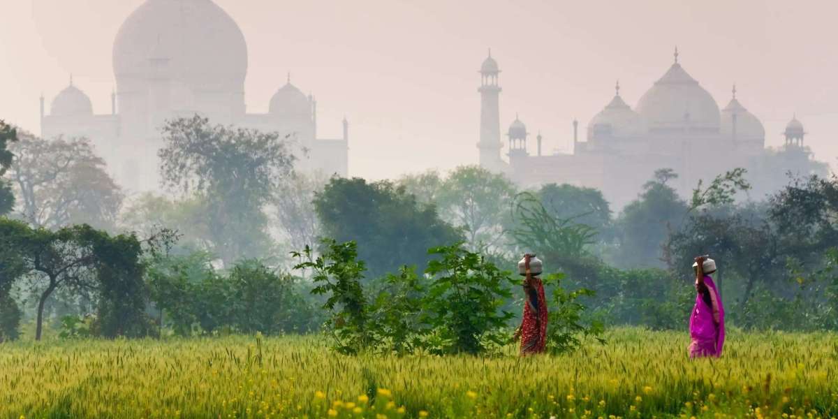 Golden Triangle in Style: The Ultimate Gateway to Luxury Tours of India