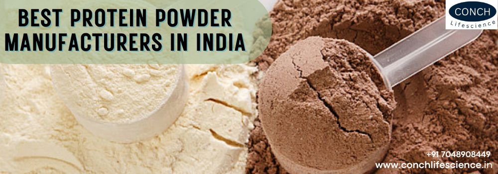 Best Protein Powder Manufacturers In India - Conch Lifescience