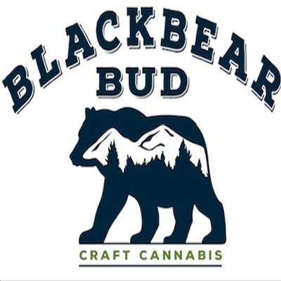 Black Bear Bud