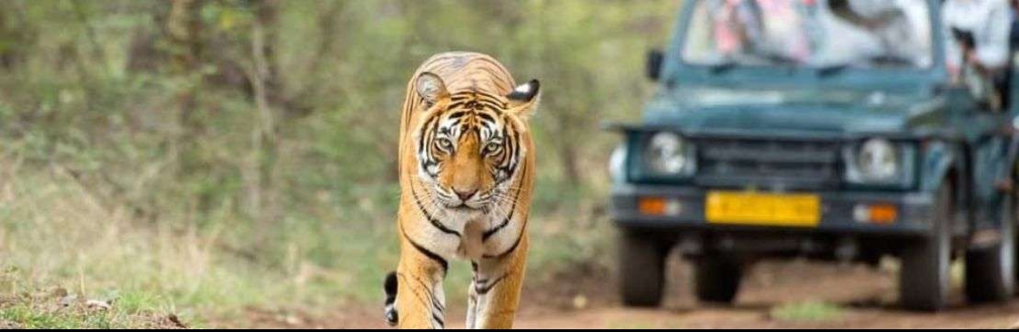 BigCat Jungle Safari