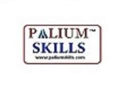 PALIUM SKILLS