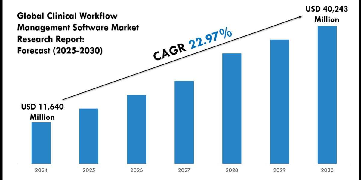 Outlook on Global Clinical Workflow Management Software Market Trends and Share by 2030