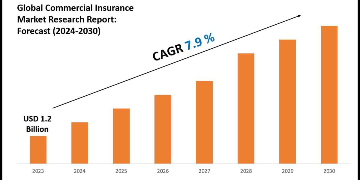 Commercial Insurance Market Size & Share 2030 Key Trends & Projections