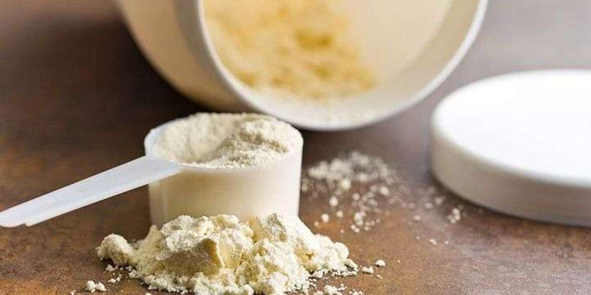 comprehensive Approach to Setting Up a Whey Protein Powder Manufacturing Plant Report 2025