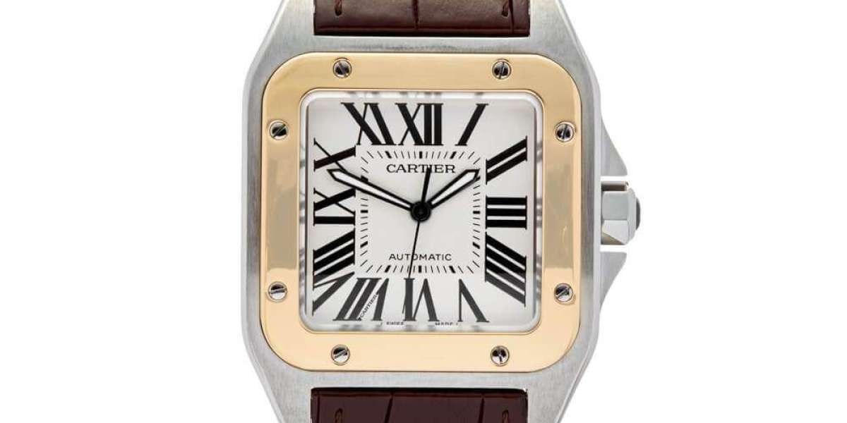 How to Choose the Best AP Iced Out Replica Watch Online