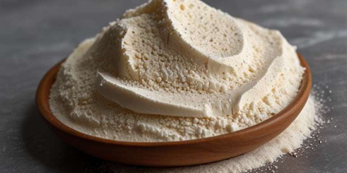 Xanthan Gum Manufacturing Plant Setup: Complete Business Plan with Machinery Cost Breakdown